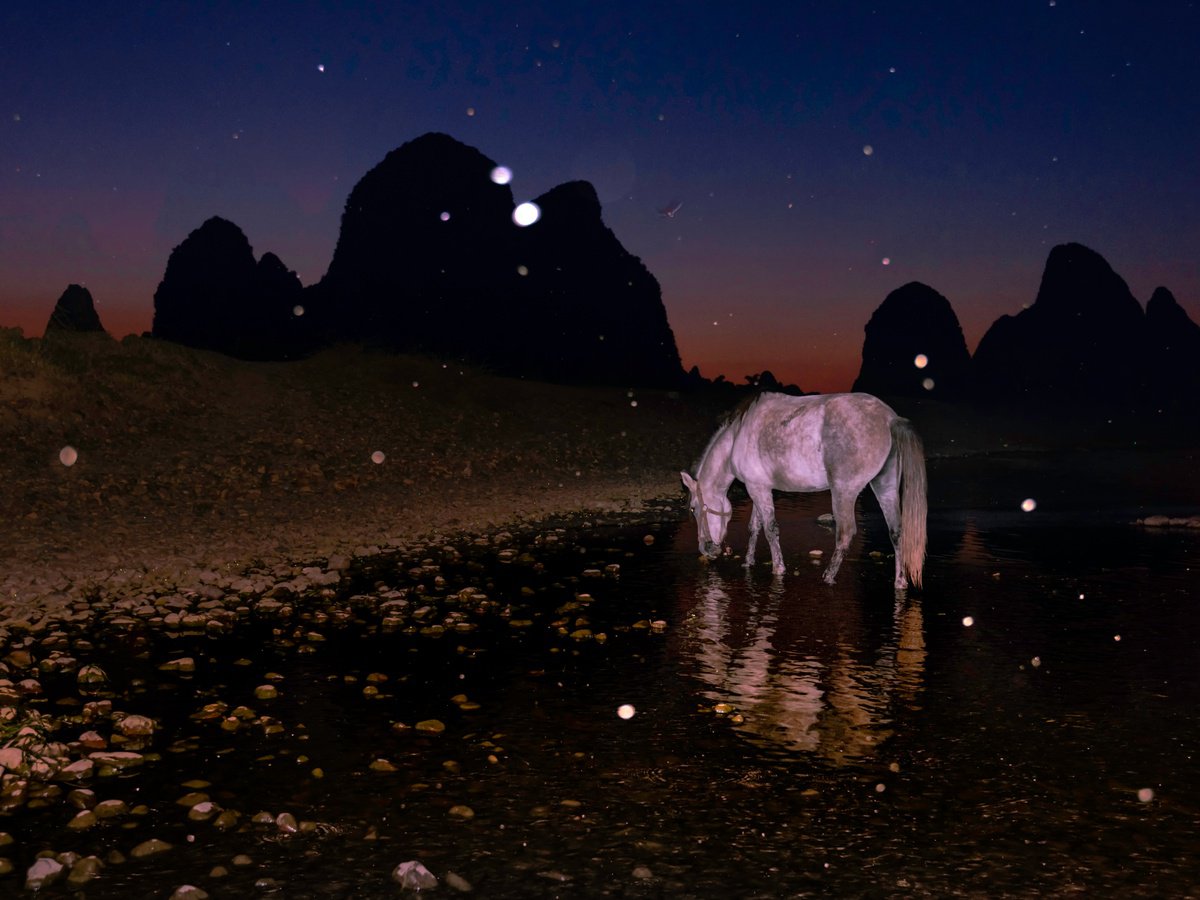 Photorealistic Photograph , The Midnight Drinker By Yibo Wang, 23 X 17, Artwork For Sale On Artfinder