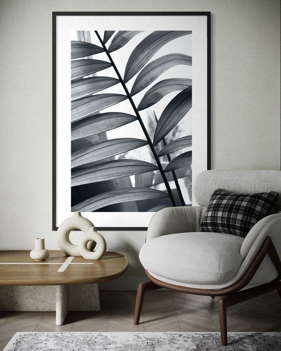 Between Fronds