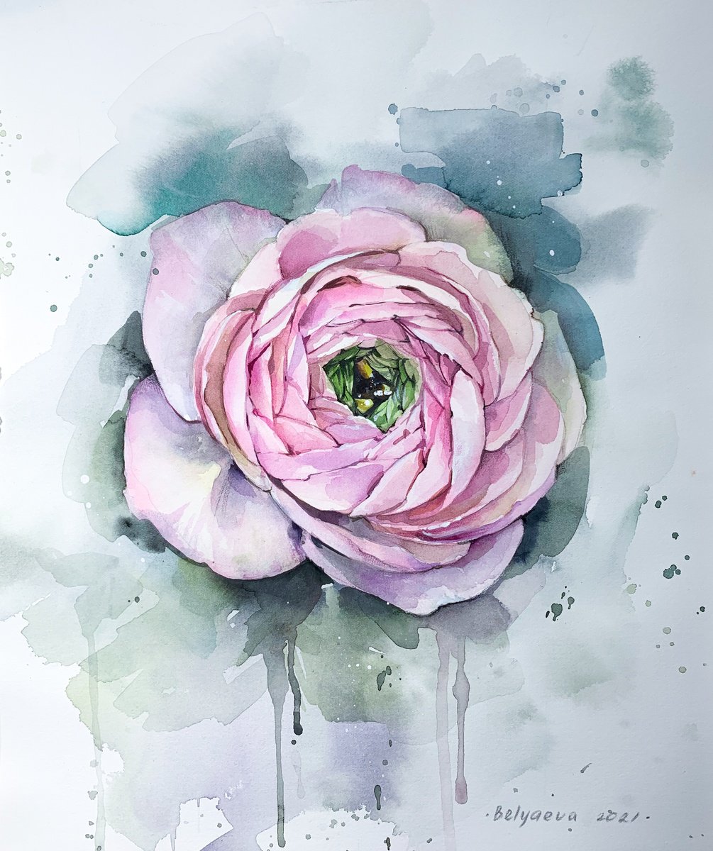 Botanical Watercolour By Belyaeva Oleksandra, 14 X 16, Ranunculus, Original Artwork