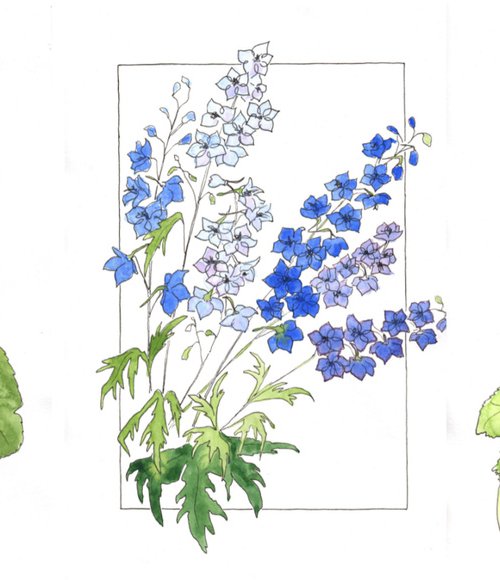 Floral triptych with mallows and bluebells flowers - Mixed media botanical illustration by Olga Ivanova