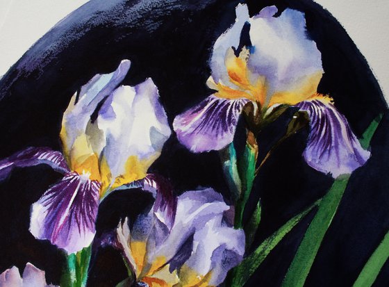 Irises in watercolor