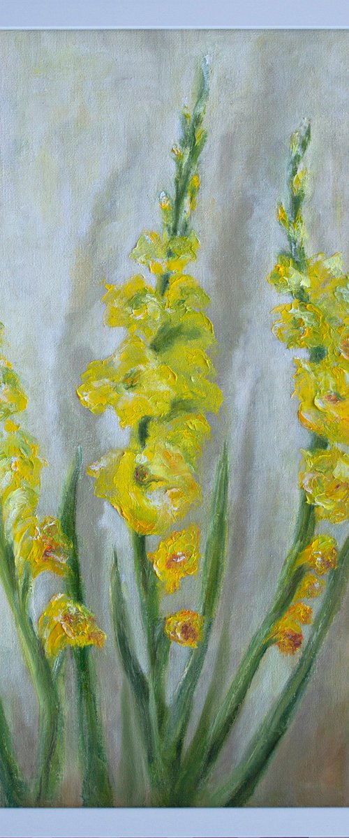 Yellow Gladioli by Mila Moroko