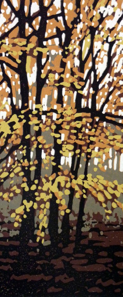 Autumn Trees by Alexandra Buckle