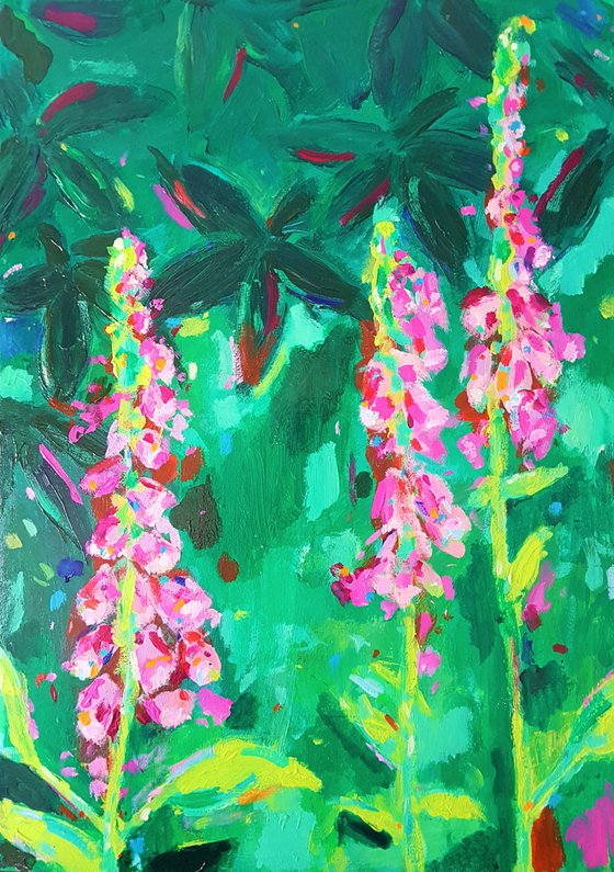 Foxgloves