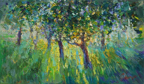 Evening garden