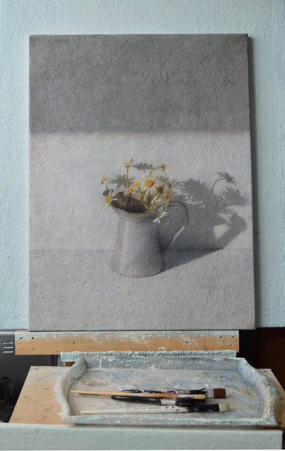 Daisies in the Morning Light