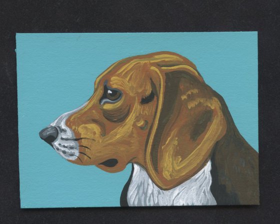 ACEO ATC Original Miniature Painting Beagle Pet Dog Art-Carla Smale