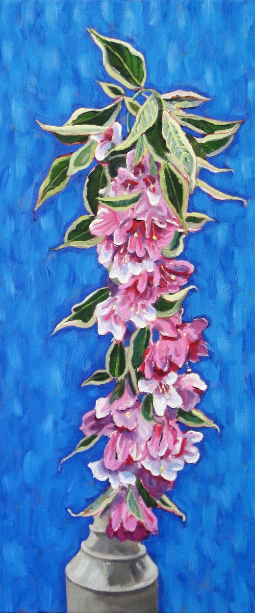 Weigela by Richard Gibson