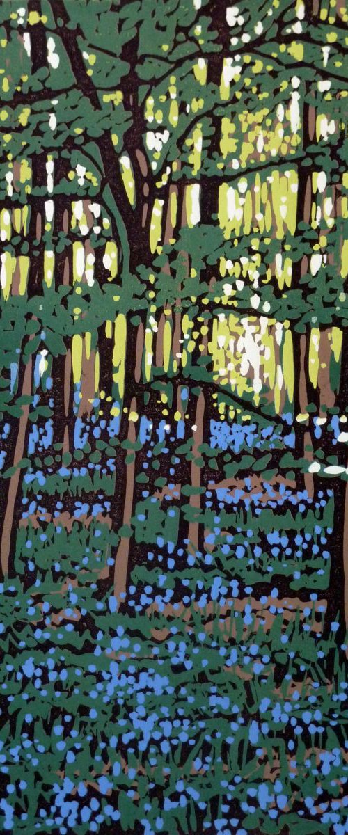 Bluebells in Shade by Alexandra Buckle