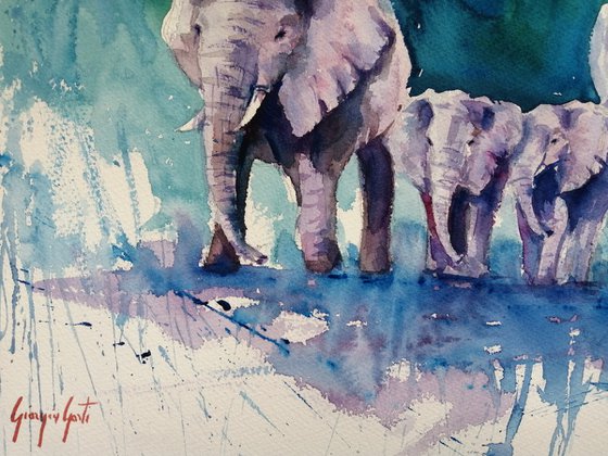 elephant 18