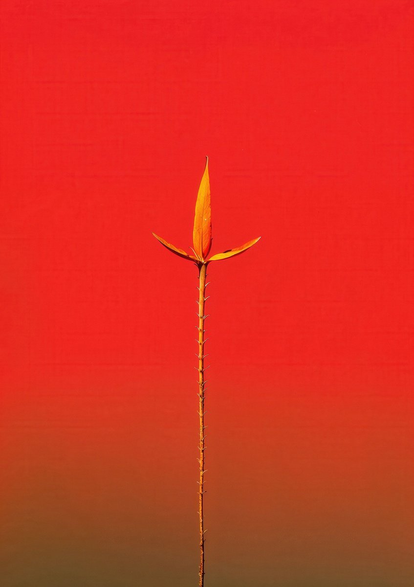 Botanical Photograph By Richard Gibson, 13 X 16", Floral Expressionism X, Original Artwork