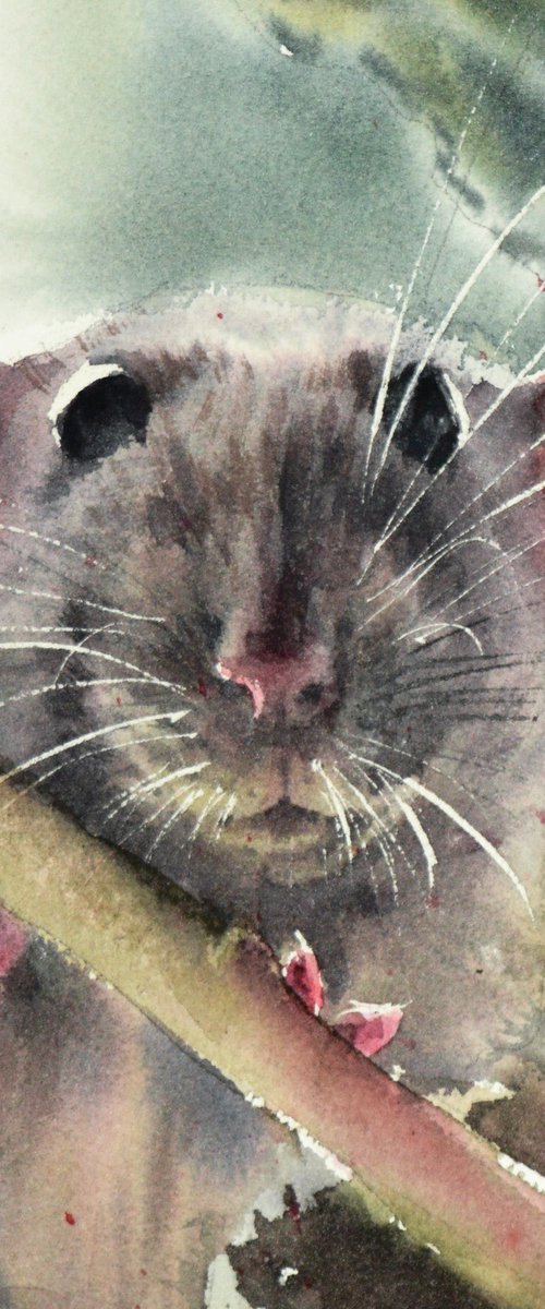 Rat Lilu by Lida Duchnewitsch