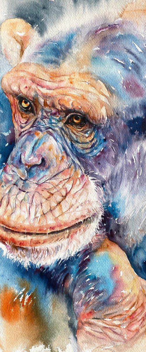 Silent Thoughts_Chimpanzee Portrait by Arti Chauhan