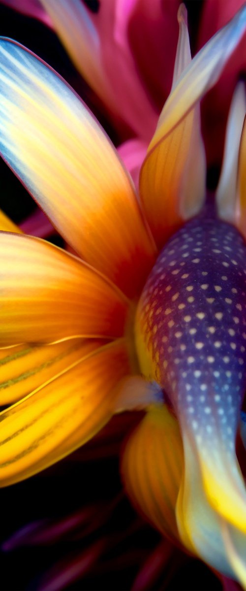 Betta Flowers 2 by MICHAEL FILONOW