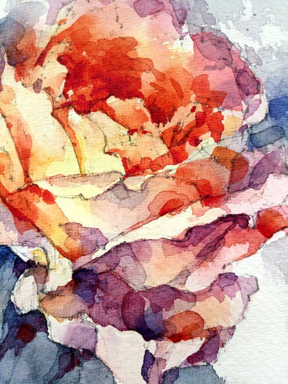 "Rose in shades of orange and yellow" original watercolor