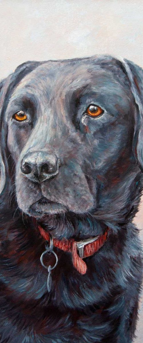 Black Lab by Ruth  Aslett