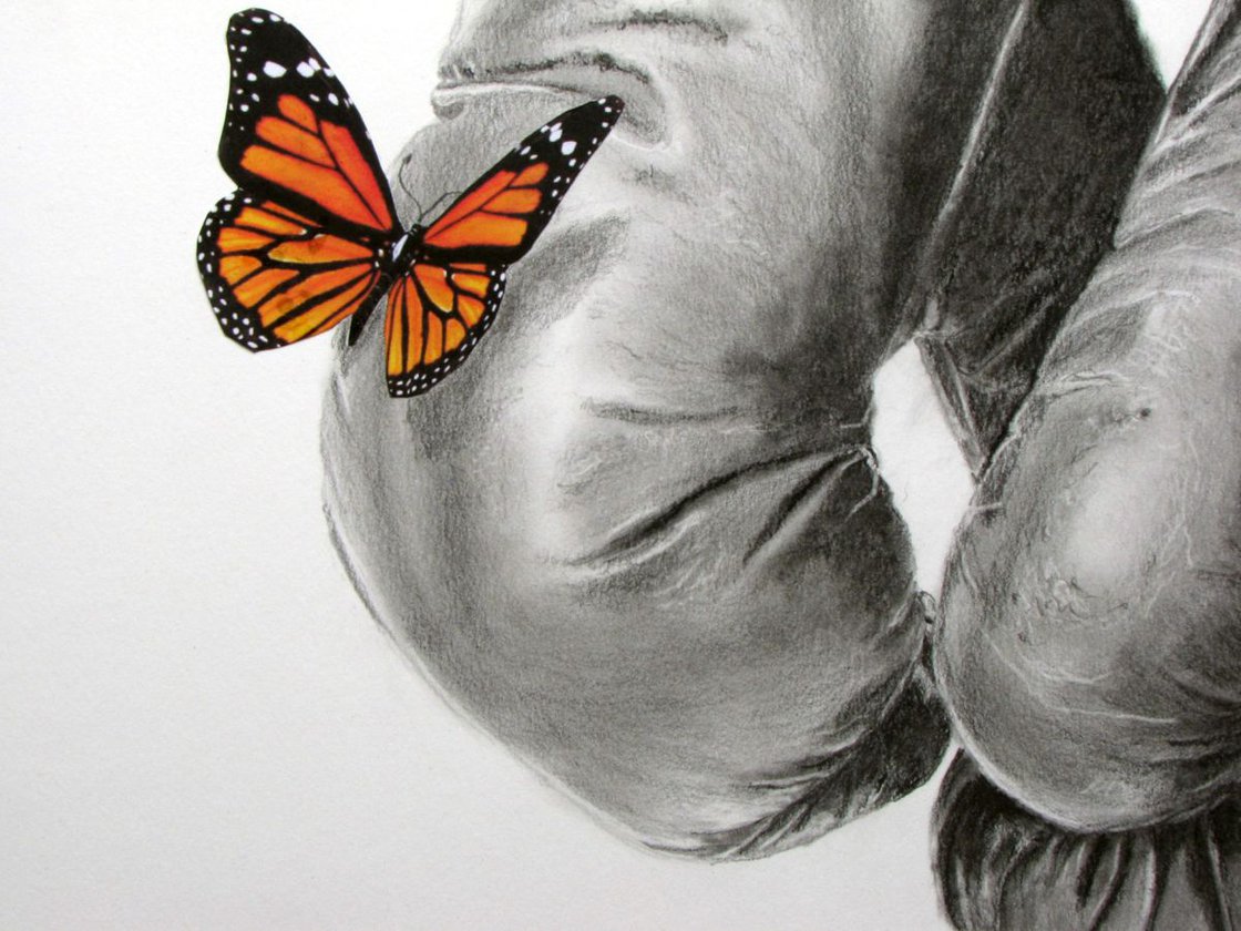 Float Like A Butterfly Sting Like A Bee Drawing By Raffaella Bertolini Artfinder