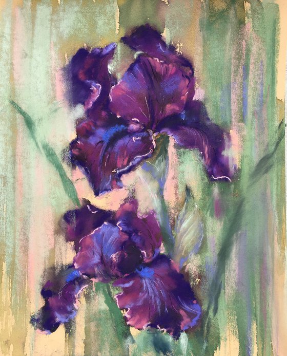 VIOLET IRIS