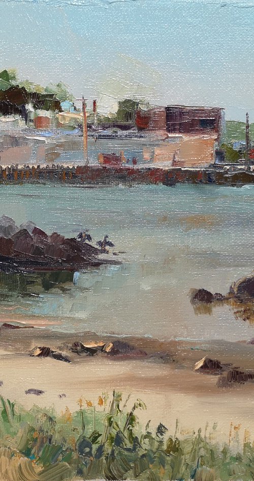 Plein air at South Shore by Alexander Koltakov