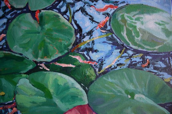 Water Lily Pads