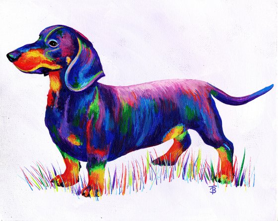 Rainbow Dachshund