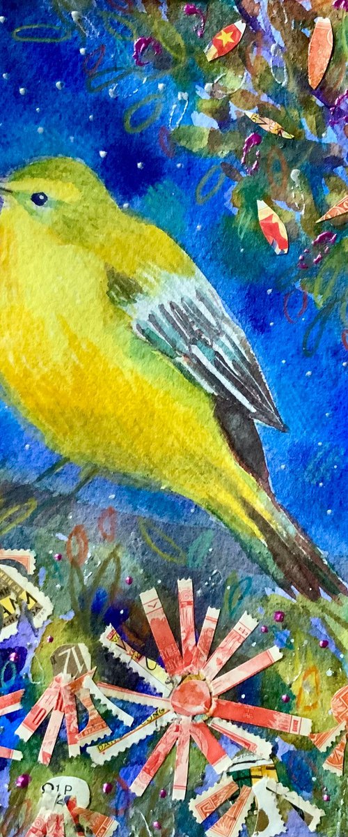 Yellow Wagtail by Janice MacDougall