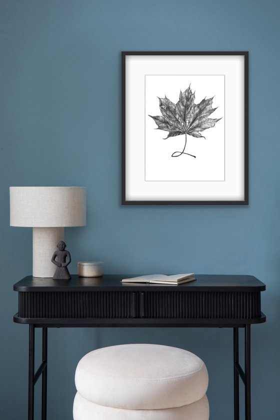 Maple leaf