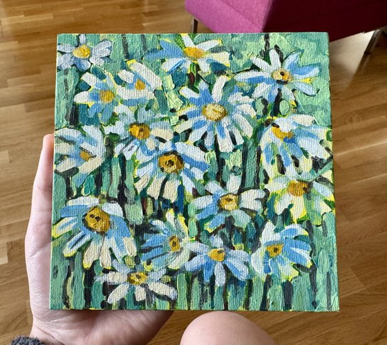 Daisies