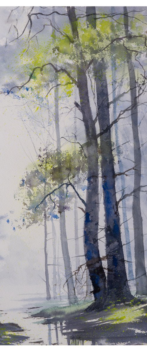 Morning Silence by Yulia Schuster