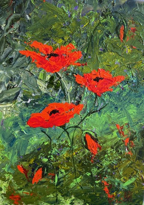 POPPIES by BARBARA  HARLOW