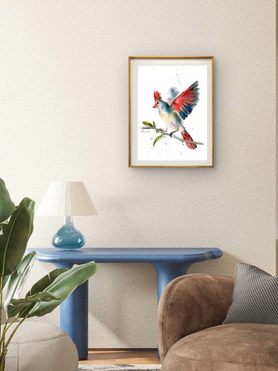 Desert cardinal