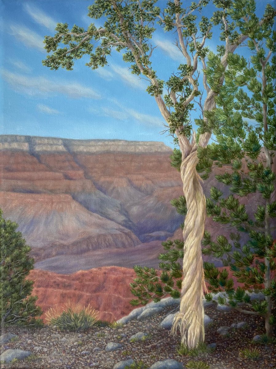 Photorealistic Landscape Oil Painting By Olya Lane, 9 X 12", Twisted, Original Artwork