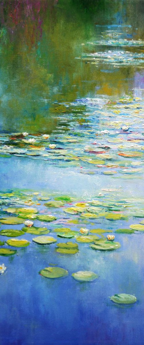 Water Lilies by Behshad Arjomandi