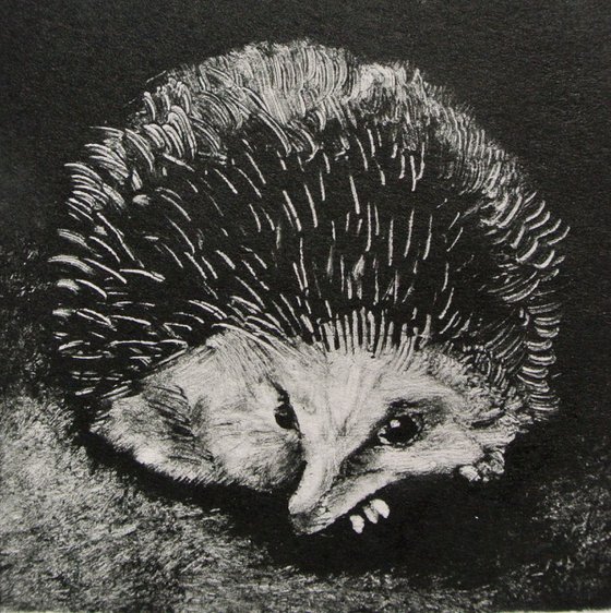 Hedgehog Monotype, Framed Artwork Ready to Hang