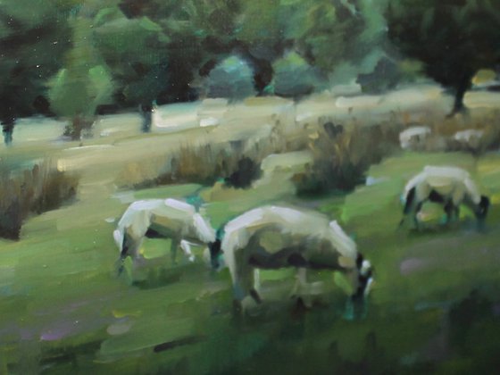 A Flock At Rest