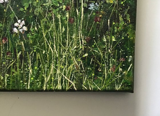 Devon Hedgerow