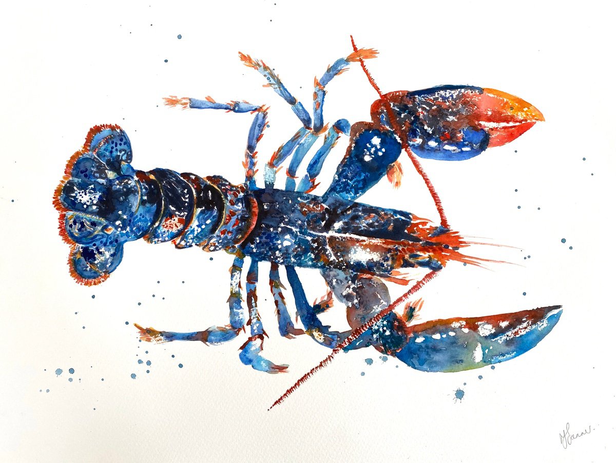 Lobster by Teresa Tanner