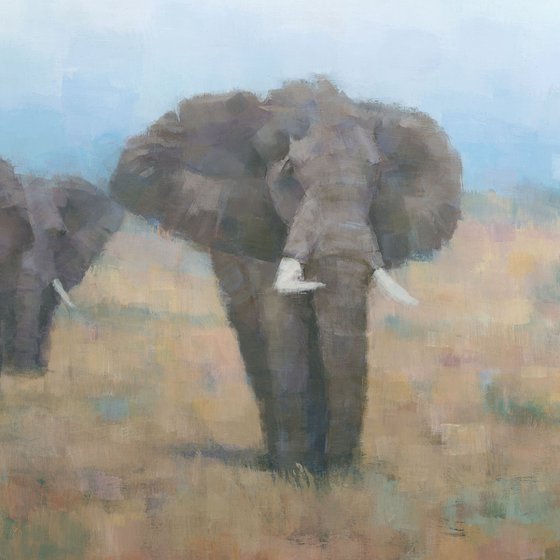 Kenyan Elephants