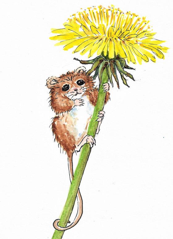 Mouse and Dandelion Flower