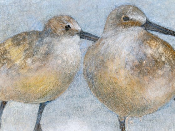 Wading Shorebirds
