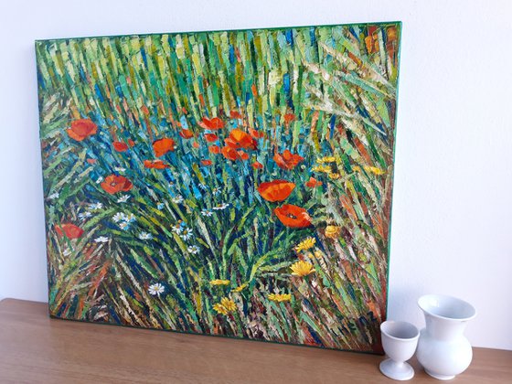 Poppies and marguerites