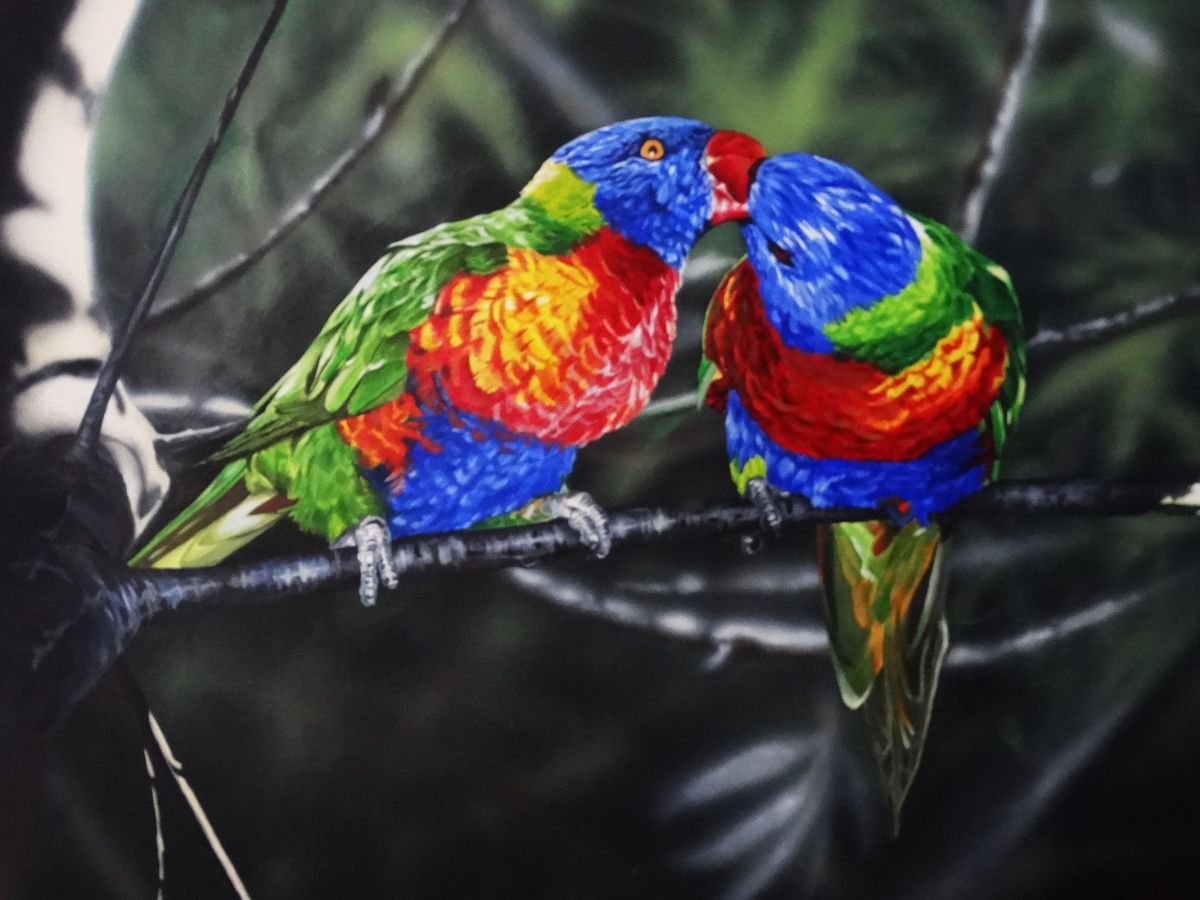 Parakeets by Julian Wheat