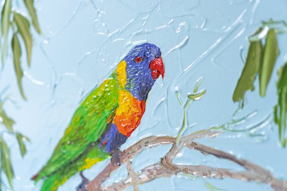 Rainbow Lorikeet