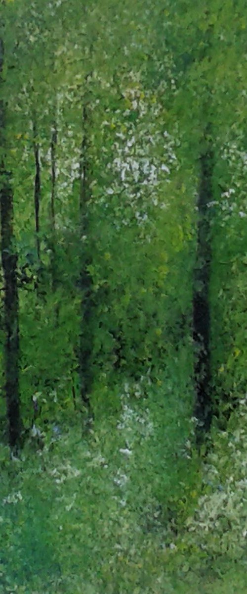Woodland Walk by Jan Rippingham