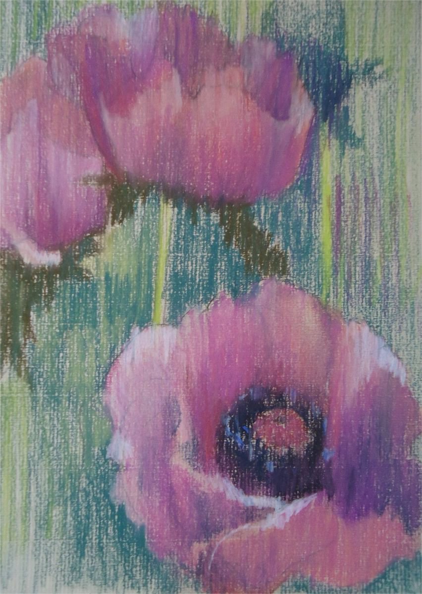 2 Pink Poppies by Jennifer Mackay Windle