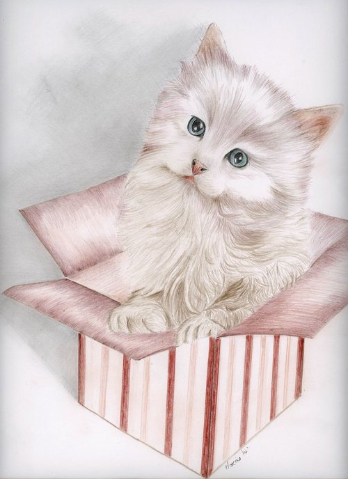 Puss in a box by Maxine Taylor