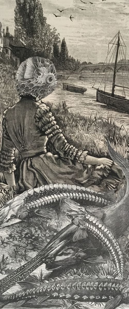 Fishing by Tudor Evans