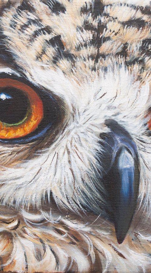 Owl face 6 by Norma Beatriz Zaro