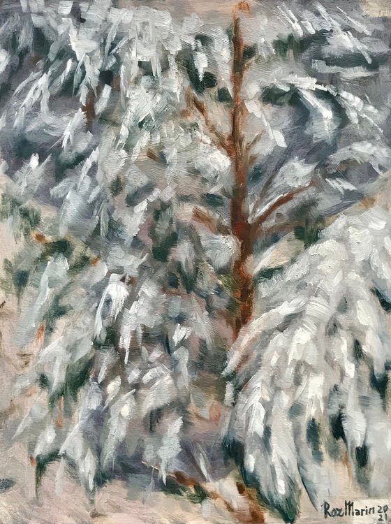 Snow spruce Trees collection