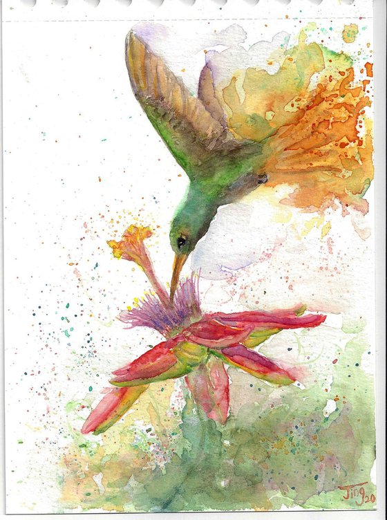 Hummingbird & Passion flower